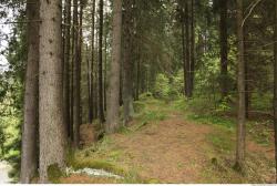 Background Forests